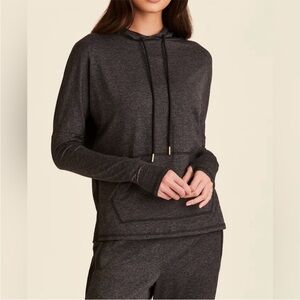 Alala Charcoal Gray Hoodie Top